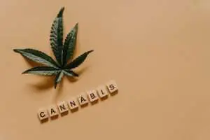 cannabis induced psychosis family support