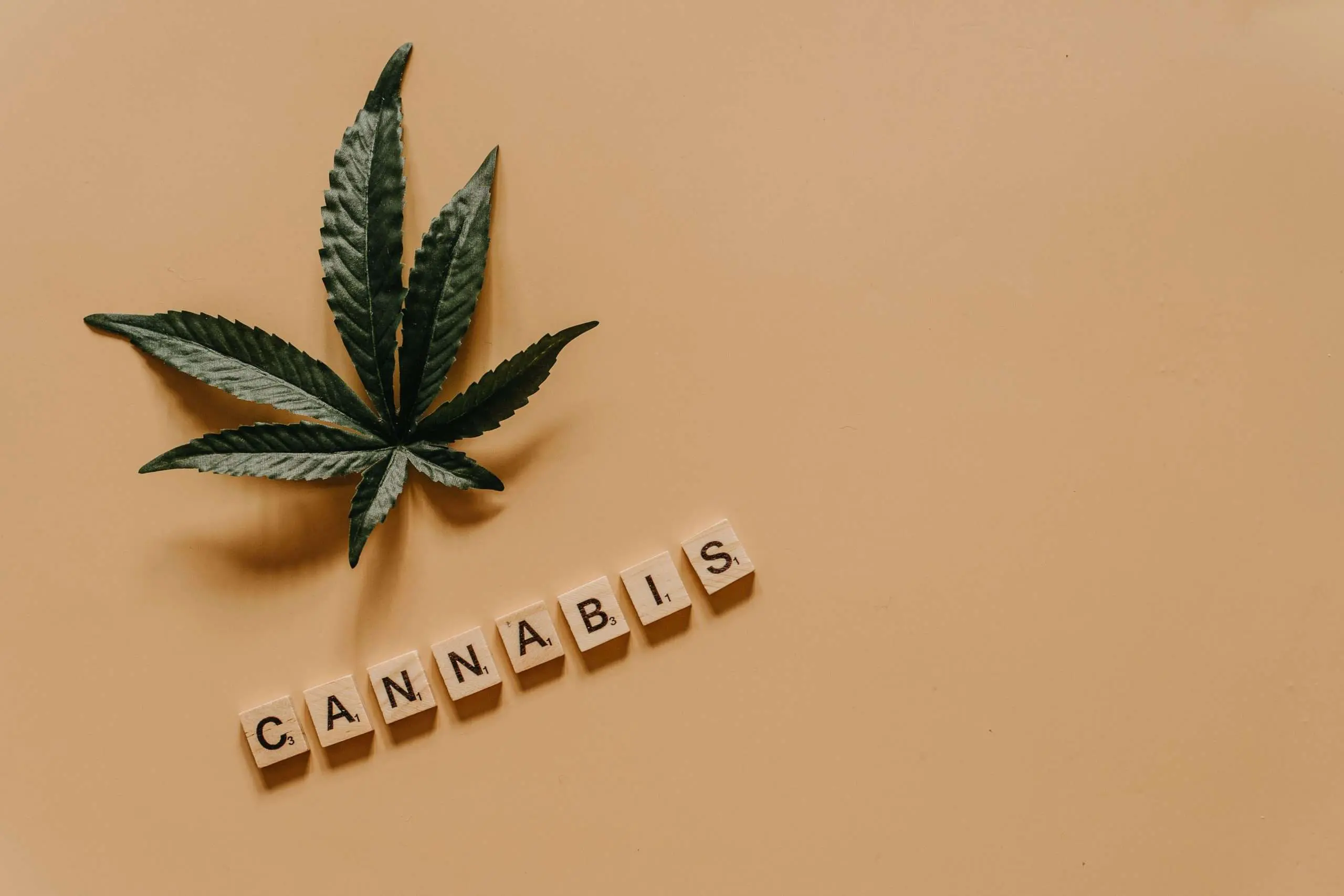 cannabis induced psychosis family support